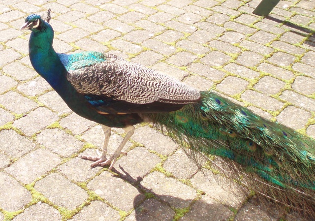 One of the outdoor staff